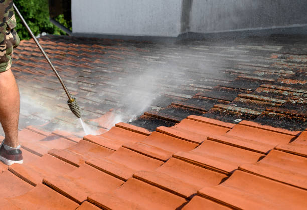 Best Residential Pressure Washing Services  in Spring Grove, IL